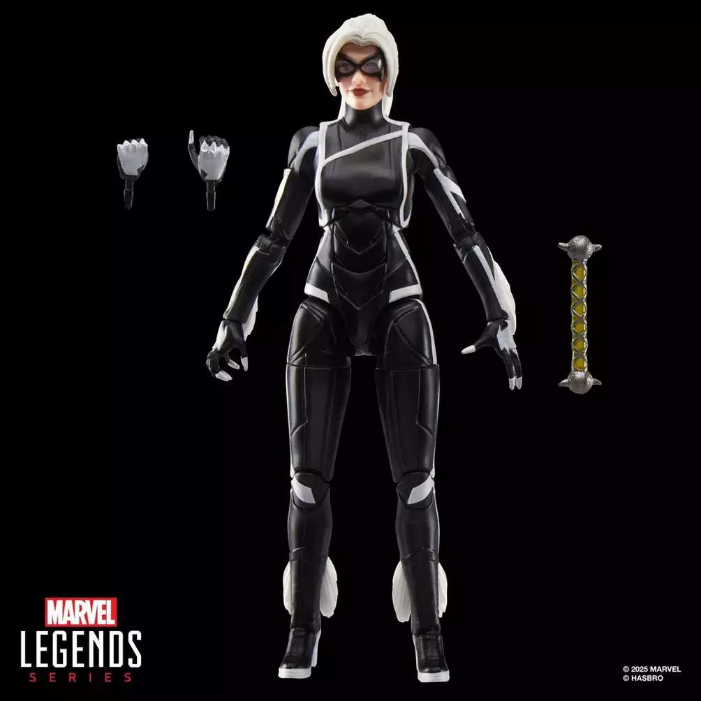 HASBRO - Marvel Legends Gamerverse Spider-Man 2 Black Cat Action Figure