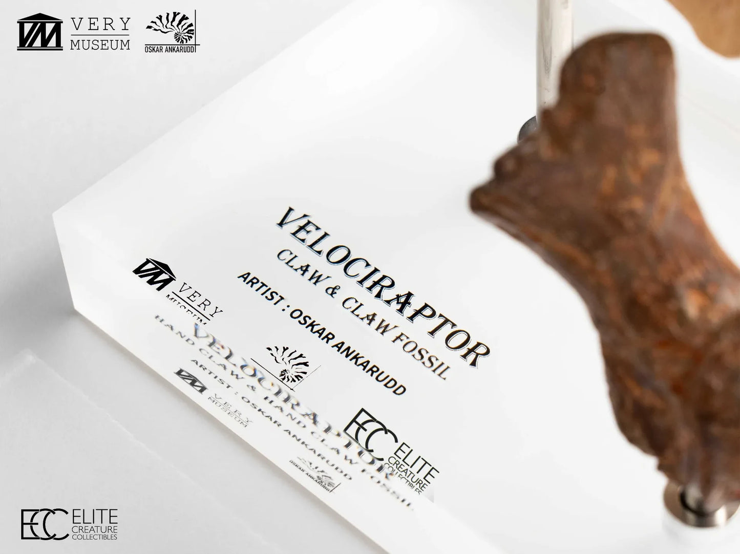 ECC - Jurassic Park Velociraptor Foot Claw And Fossil Claw Set