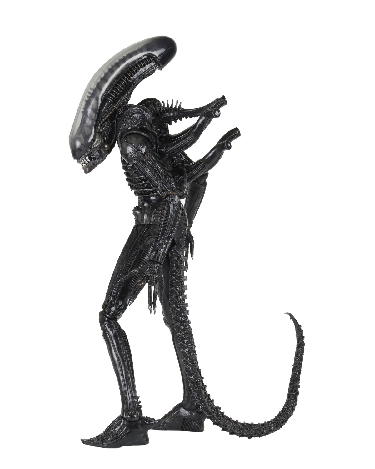 NECA - Alien Big Chap 1/4 Af Rerun