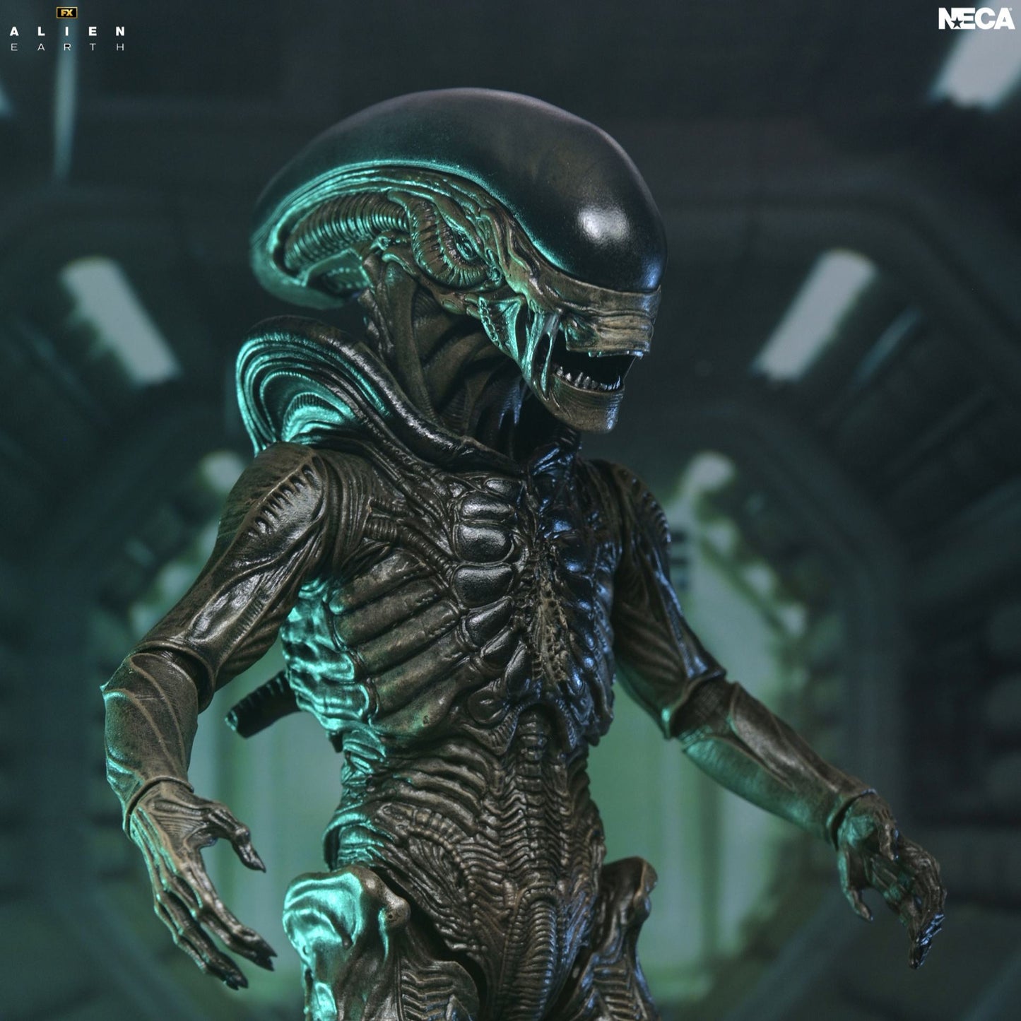 NECA - Alien Earth Xenomorph Ultimate Action Figure