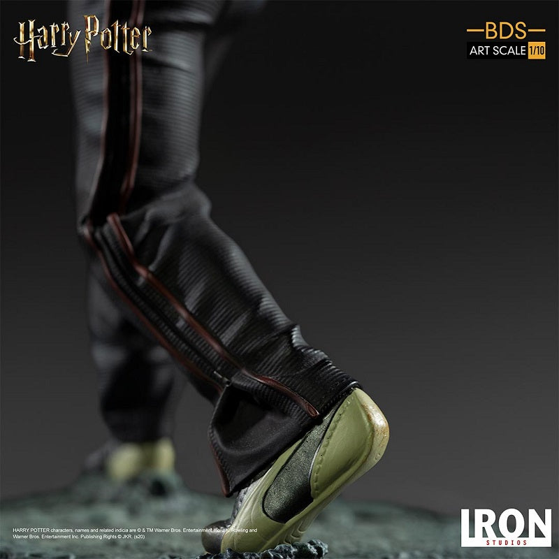IRON STUDIO - Harry Potter Harry Potter BDS 1:10 Art Statue