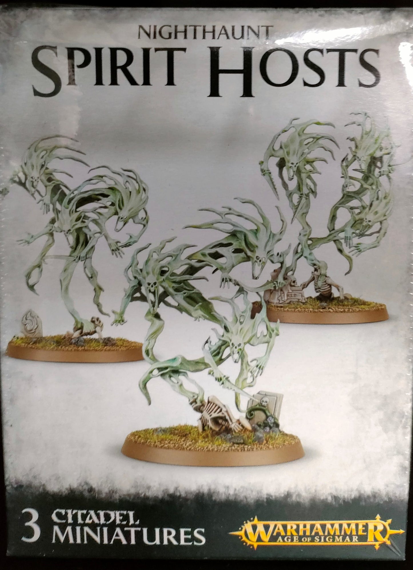 CITADEL - Warhammer Age of Sigmar Spirit Hosts