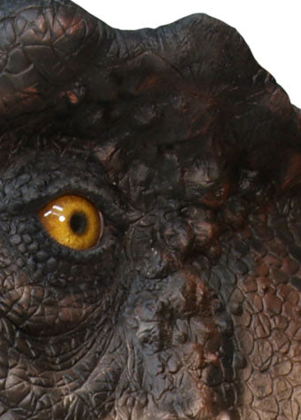 MUCKLE MANNEQUINS - Dinosaur Open Mouth T-Rex Head Life Sized Statue