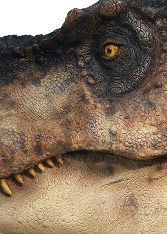 MUCKLE MANNEQUINS - Dinosaur Closed Mouth T-Rex Head Life Sized Statue