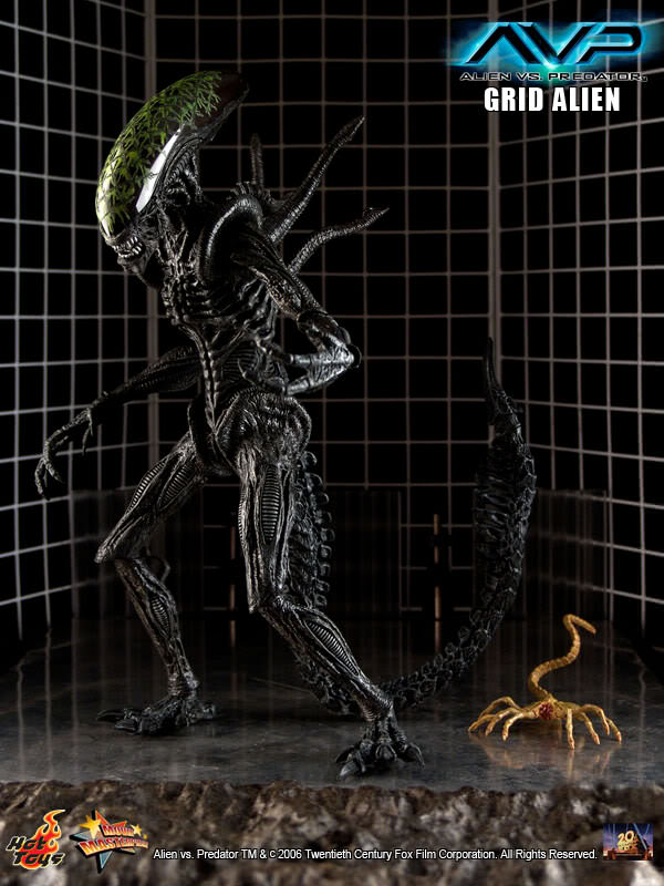 HOT TOYS - Aliens vs Predator - Grid Alien with Facehugger - Movie Masterpiece 1:6 Action Doll