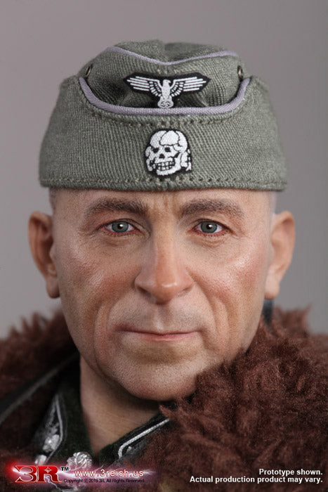 DID/3R - Waffen-SS Das Reich Commander Paul Hausser - 1:6 Action Doll (GM642)