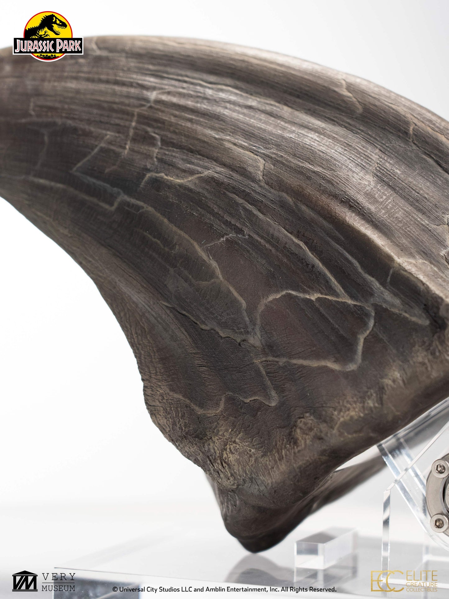 ECC - T-Rex Foot Claw