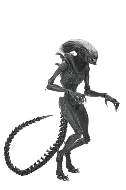 NECA - Alien Romulus Scorched Xenomorph Ult Af