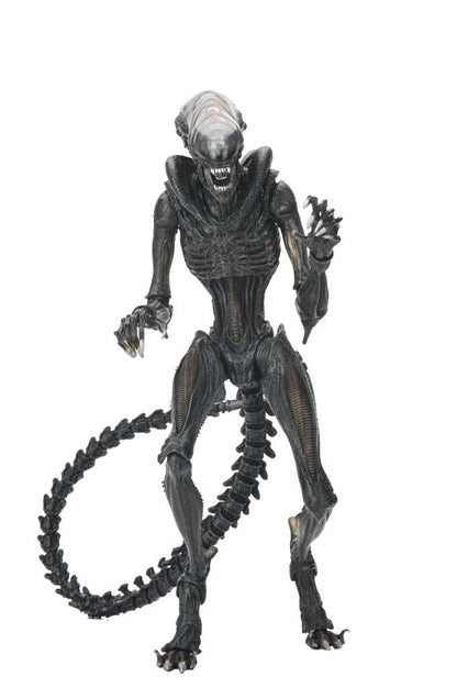NECA - Alien Romulus Scorched Xenomorph Ult Af