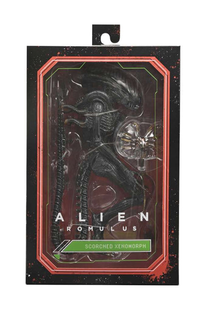 NECA - Alien Romulus Scorched Xenomorph Ult Af