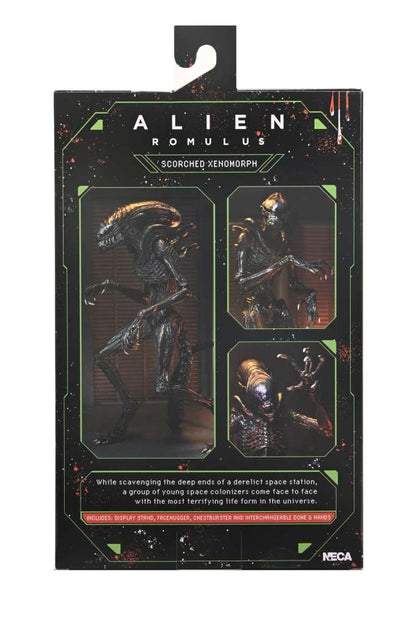 NECA - Alien Romulus Scorched Xenomorph Ult Af