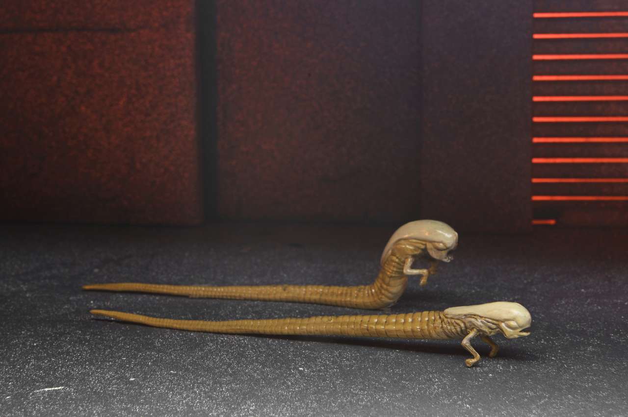 NECA - Alien Romulus Accessory Set