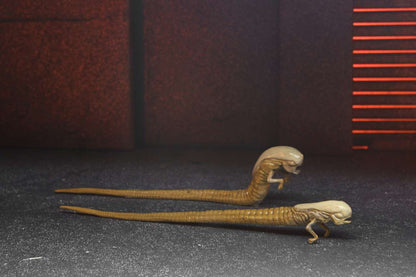 NECA - Alien Romulus Accessory Set