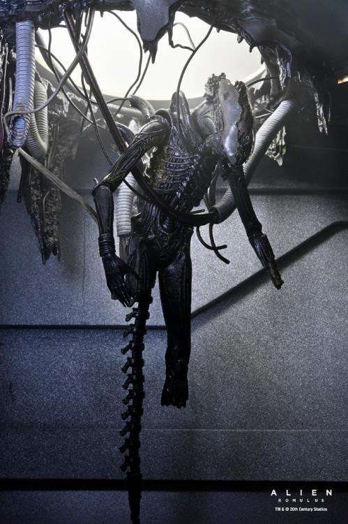 NECA - Alien Romulus Deluxe Suspended Lab Xenomorph xx121 Action Figure