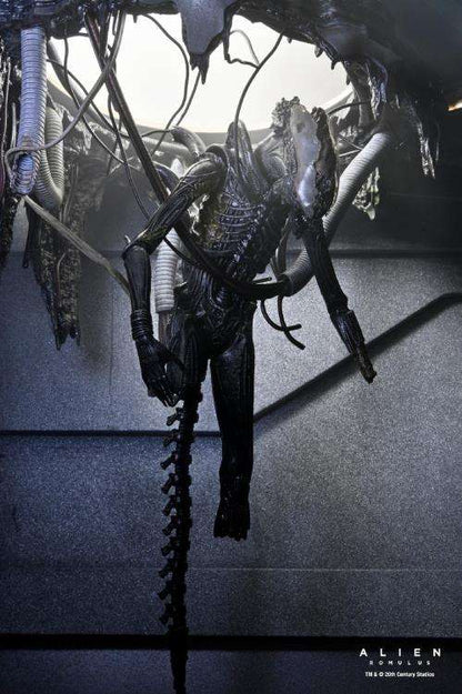 NECA - Alien Romulus Deluxe Suspended Lab Xenomorph xx121 Action Figure