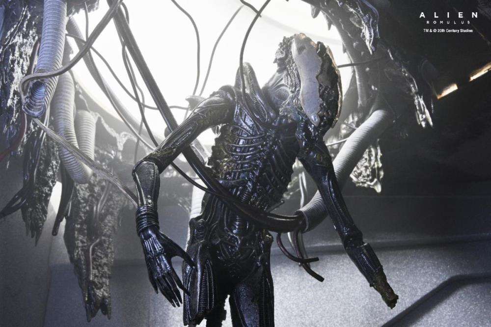 NECA - Alien Romulus Deluxe Suspended Lab Xenomorph xx121 Action Figure