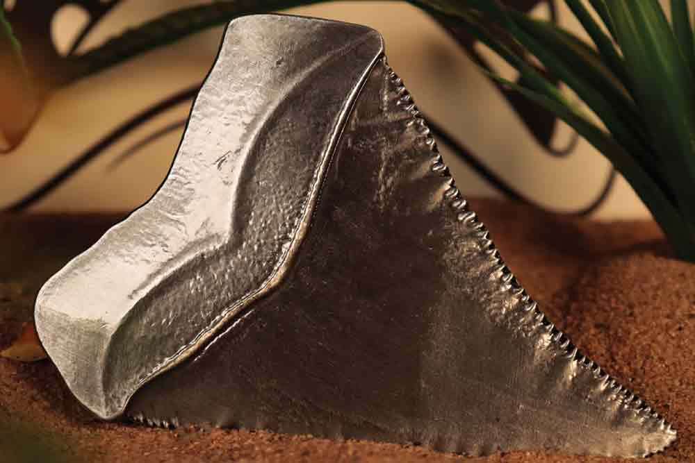 FANATTIK - Jaws 50th Anniversary Shark Tooth Medallion