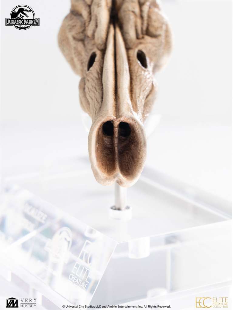 ECC - Jurassic park 3 velociraptor resonating chamber prop replica