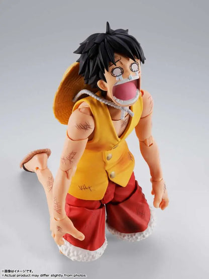BANDAI - One Piece Monkey D.luffy Marineford Shf