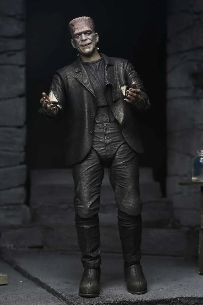 NECA - Um Bride Of Frankenstein 90th Monster & His Mate 2pack Af