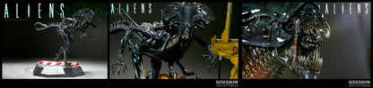 SIDESHOW - Aliens - Queen Alien - Diorama
