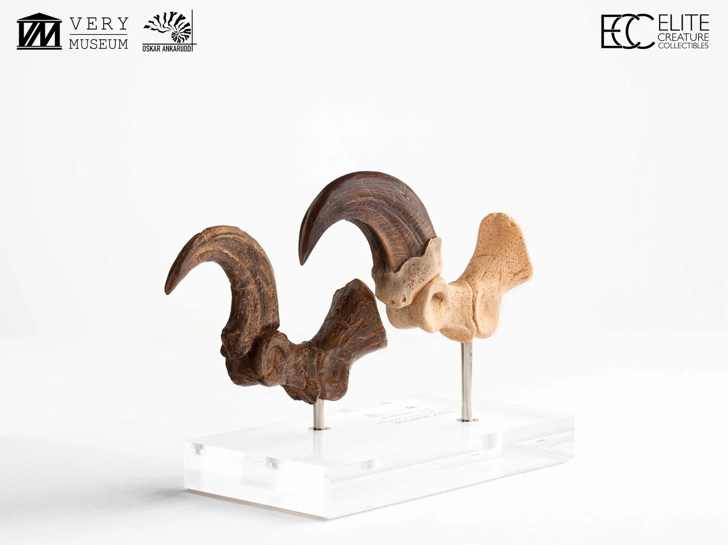 ECC - Jurassic Park Velociraptor Foot Claw And Fossil Claw Set