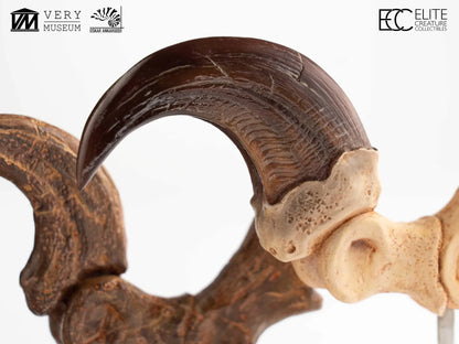 ECC - Jurassic Park Velociraptor Foot Claw And Fossil Claw Set