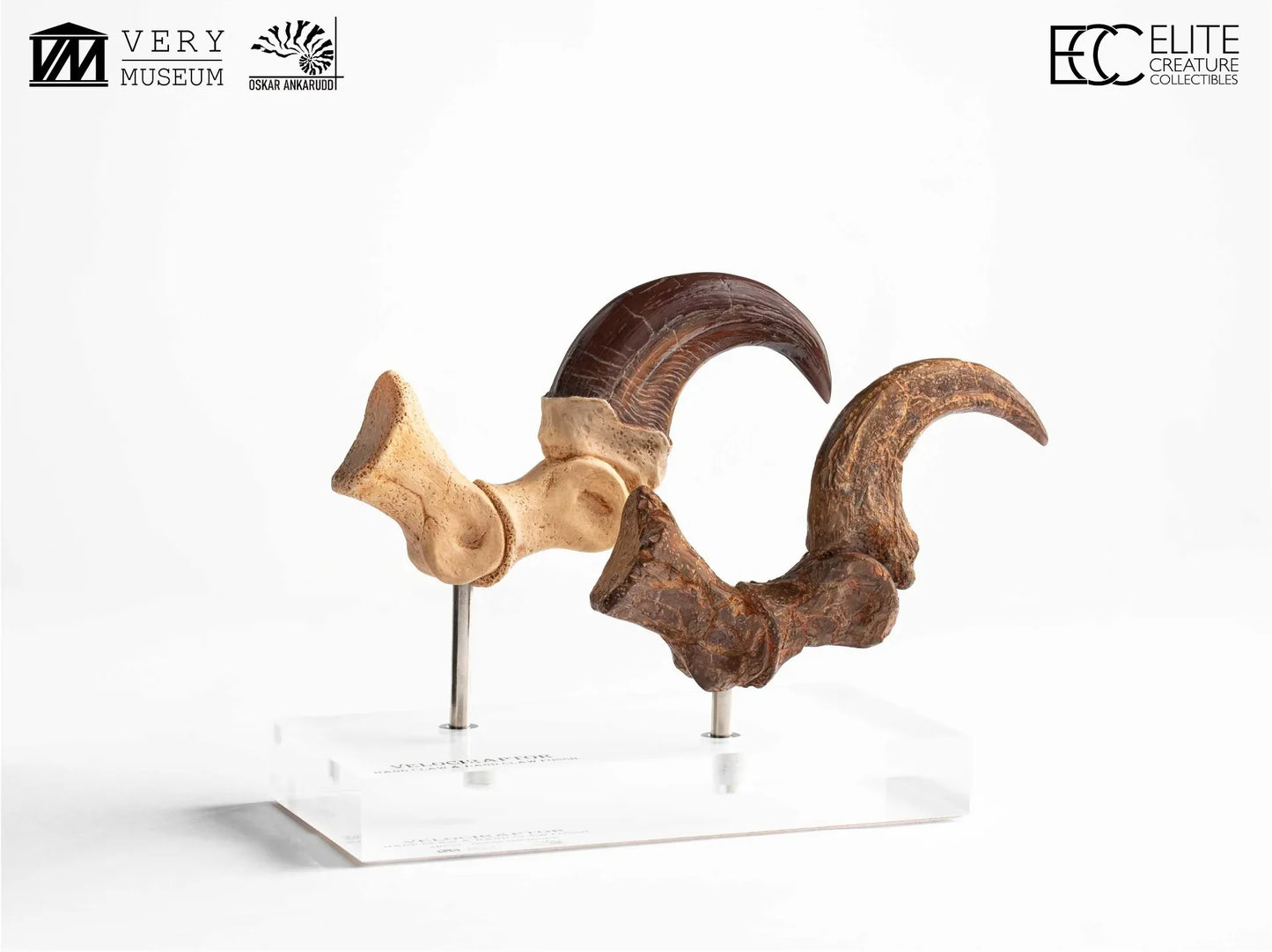 ECC - Jurassic Park Velociraptor Foot Claw And Fossil Claw Set