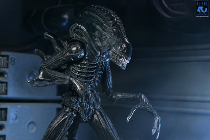 NECA - Aliens 40th Anniversary Warrior Xenomorph Black Ultimate Af