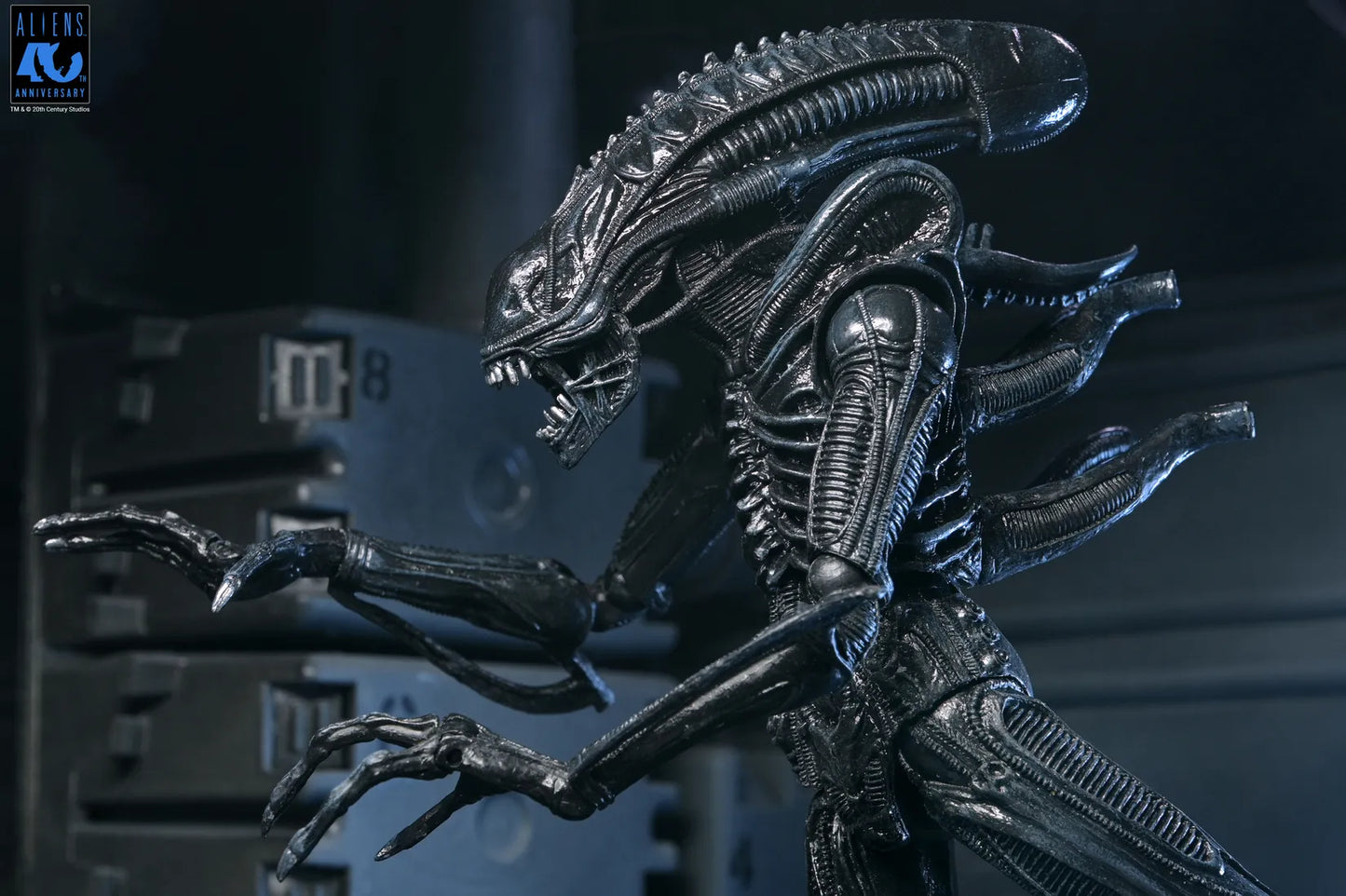 NECA - Aliens 40th Anniversary Warrior Xenomorph Black Ultimate Af