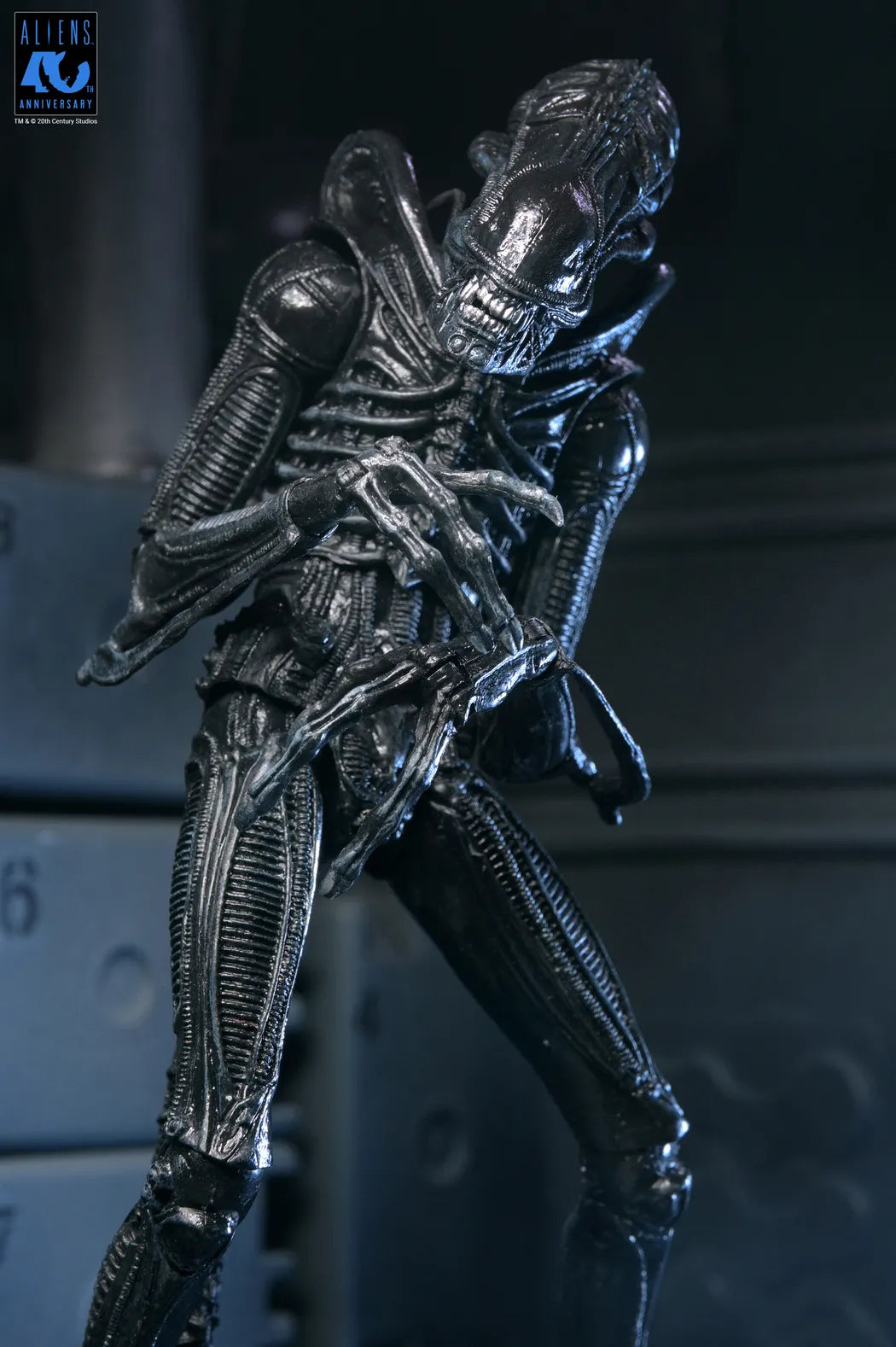 NECA - Aliens 40th Anniversary Warrior Xenomorph Black Ultimate Af