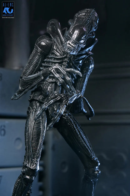 NECA - Aliens 40th Anniversary Warrior Xenomorph Black Ultimate Af