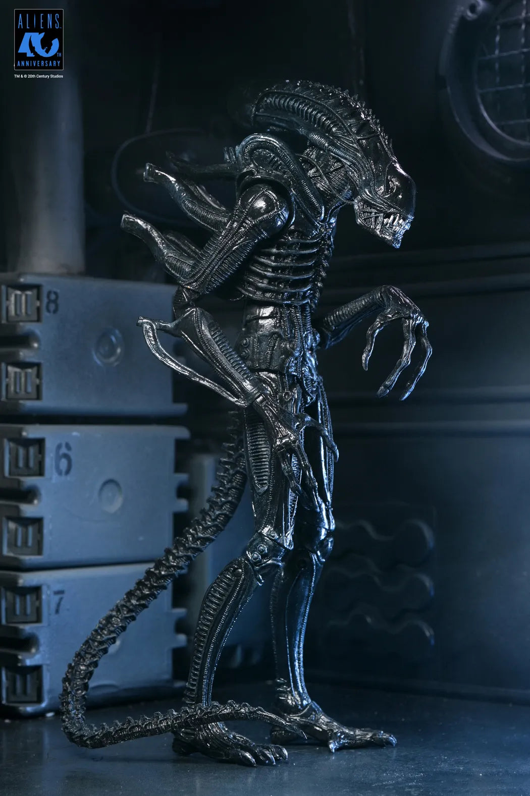 NECA - Aliens 40th Anniversary Warrior Xenomorph Black Ultimate Af