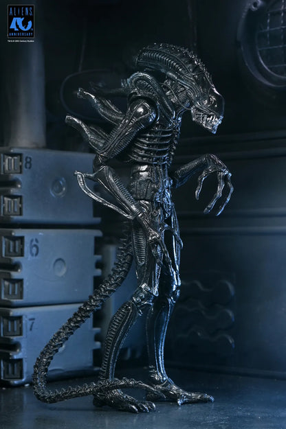 NECA - Aliens 40th Anniversary Warrior Xenomorph Black Ultimate Af