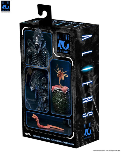 NECA - Aliens 40th Anniversary Warrior Xenomorph Black Ultimate Af