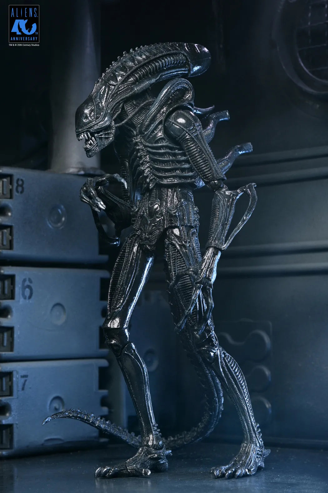 NECA - Aliens 40th Anniversary Warrior Xenomorph Black Ultimate Af