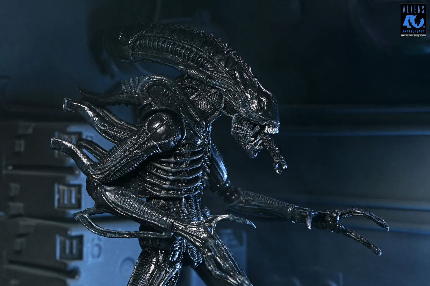 NECA - Aliens 40th Anniversary Warrior Xenomorph Black Ultimate Af