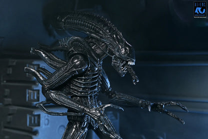 NECA - Aliens 40th Anniversary Warrior Xenomorph Black Ultimate Af