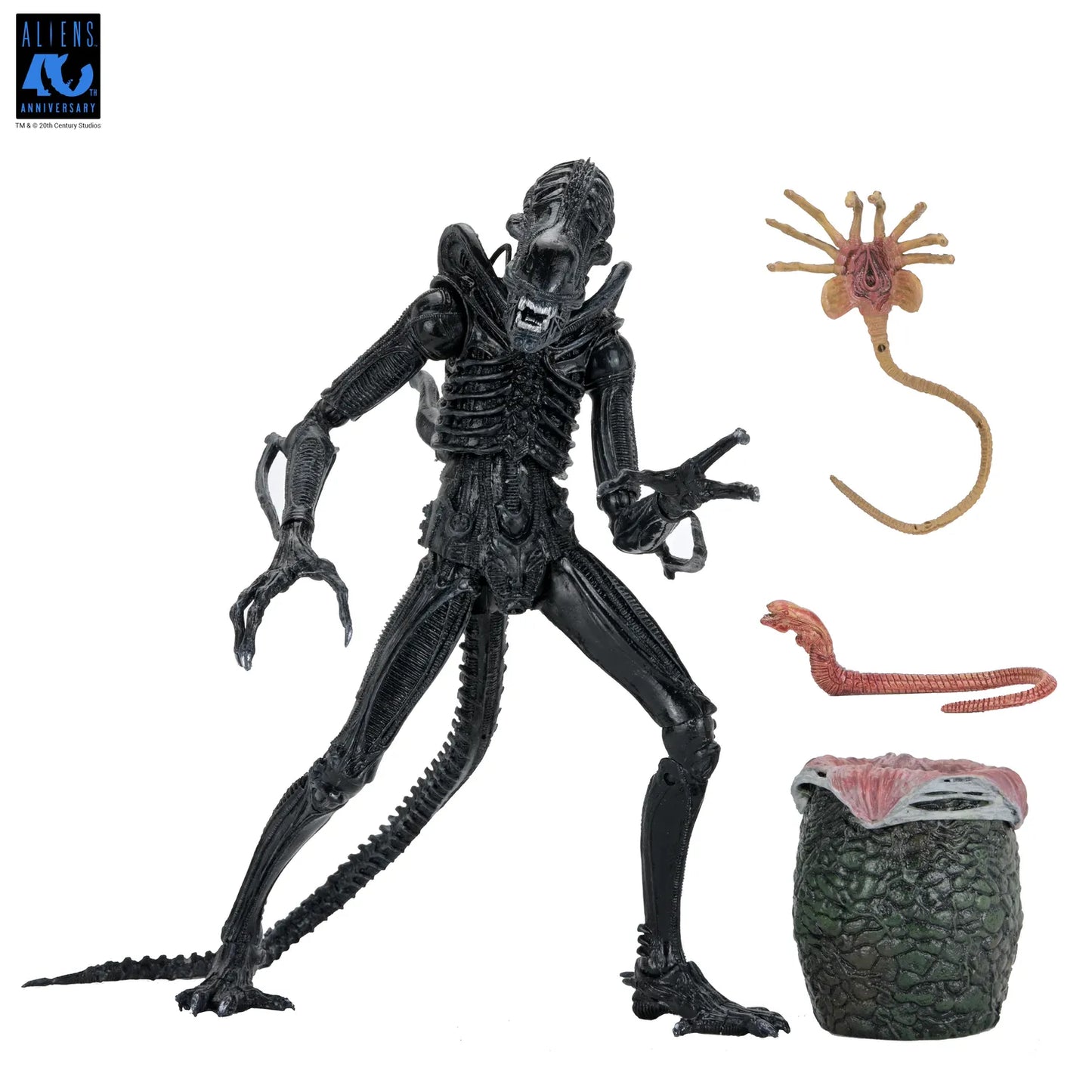 NECA - Aliens 40th Anniversary Warrior Xenomorph Black Ultimate Af