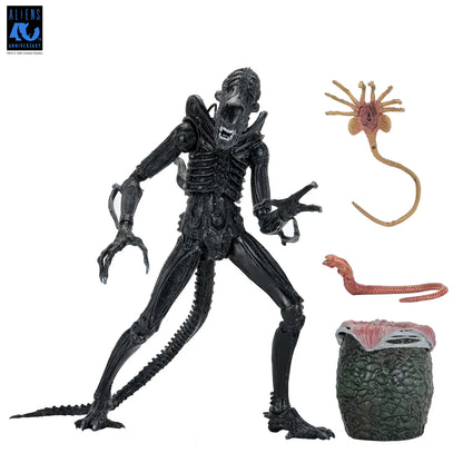 NECA - Aliens 40th Anniversary Warrior Xenomorph Black Ultimate Af