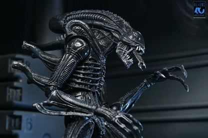 NECA - Aliens 40th Anniversary Warrior Xenomorph Black Ultimate Af