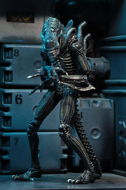 NECA - Aliens Alien Warrior Blue 1986 Ultimate Af