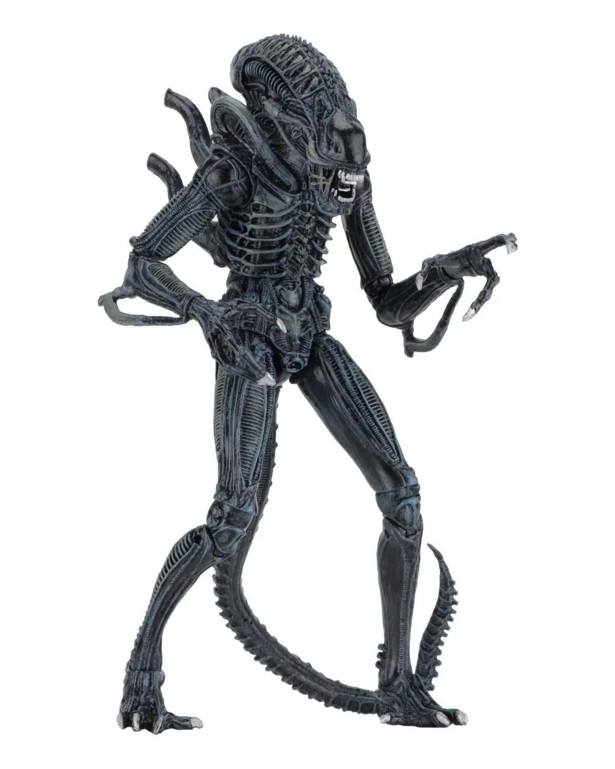 NECA - Aliens Alien Warrior Blue 1986 Ultimate Af