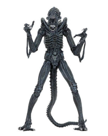 NECA - Aliens Alien Warrior Blue 1986 Ultimate Af