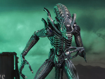 NECA - Aliens Alien Warrior Blue 1986 Ultimate Af