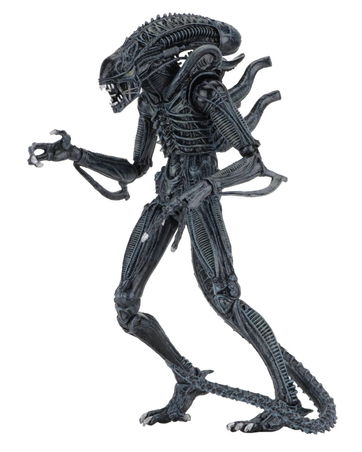 NECA - Aliens Alien Warrior Blue 1986 Ultimate Af