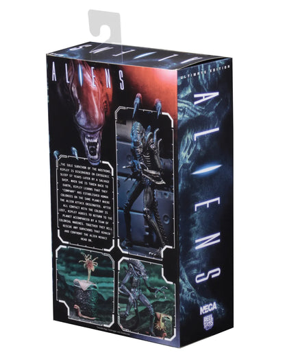 NECA - Aliens Alien Warrior Blue 1986 Ultimate Af