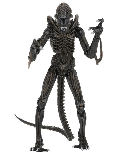 NECA - Aliens Alien Warrior Brown 1986 Altimate AF