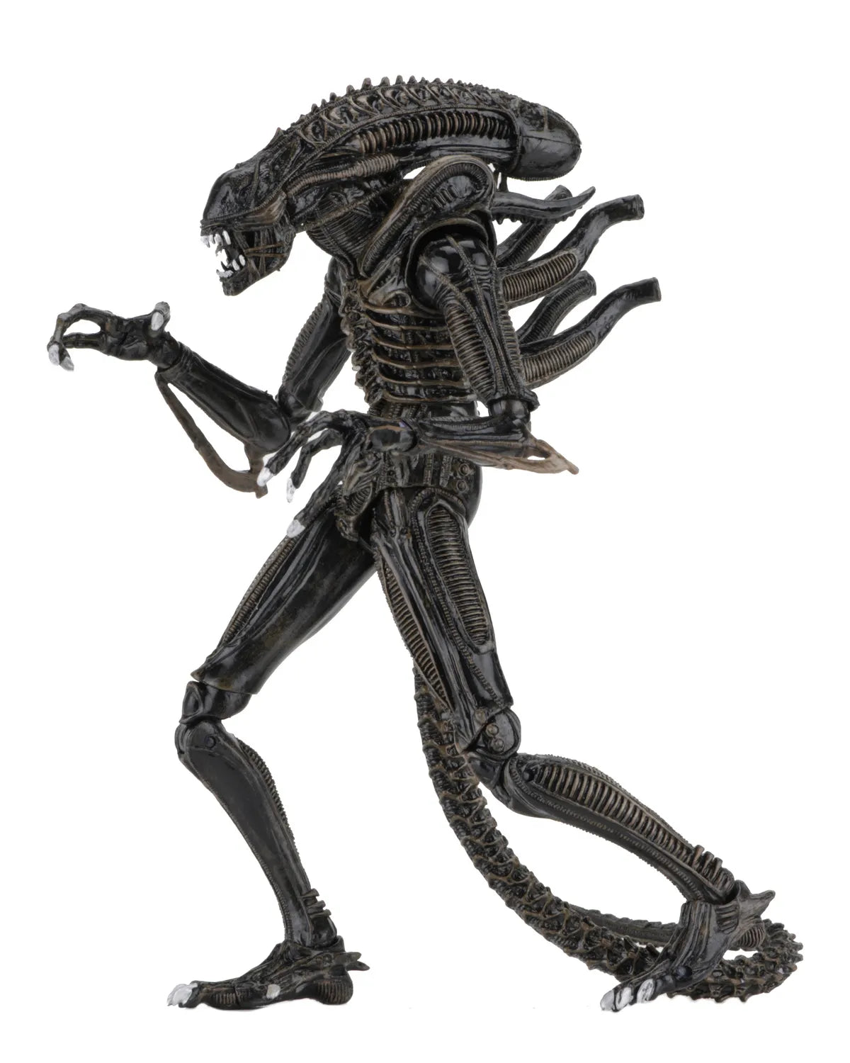 NECA - Aliens Alien Warrior Brown 1986 Altimate AF