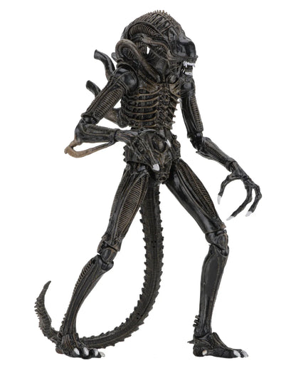 NECA - Aliens Alien Warrior Brown 1986 Altimate AF